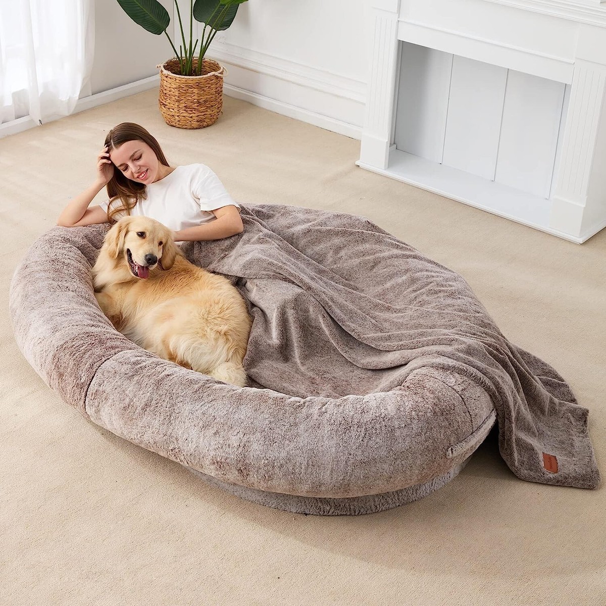 Best Donut Dog Bed in 2026
